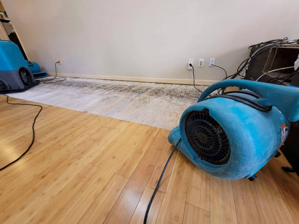 Professional Basement Flood Cleanup technician working in Forest Falls, CA